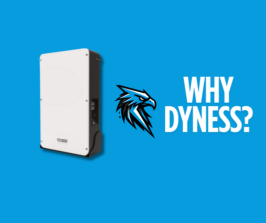 Why We Trust Dyness for Our Battery Deal — And Why You Should Too